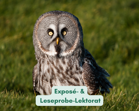 Bartkauziges Exposé- und Leseprobe-Lektorat