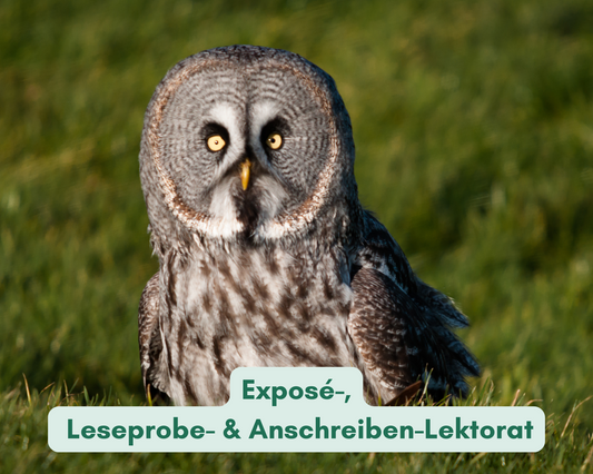 Bartkauziges Exposé-, Leseprobe- und Anschreiben-Lektorat