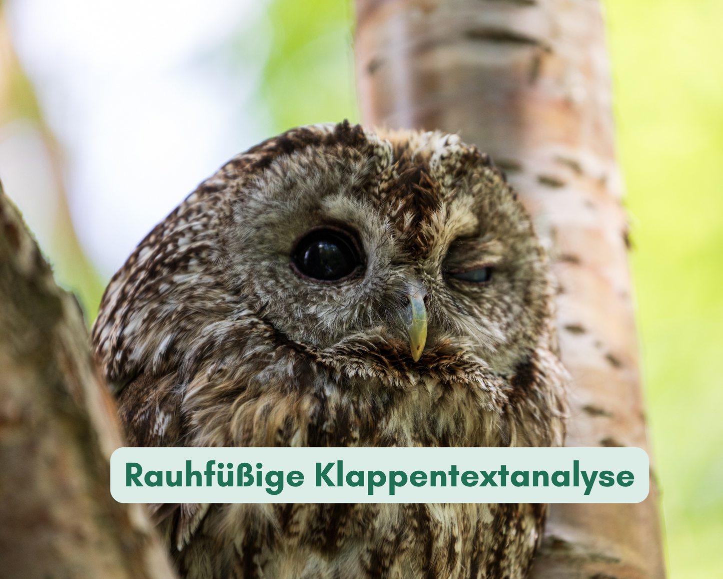 Rauhfüßige Klappentextanalyse
