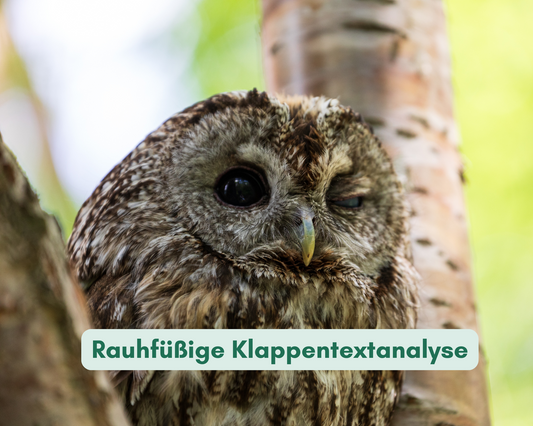 Rauhfüßige Klappentextanalyse